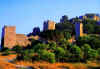 hyeres003.jpg (50007 octets)